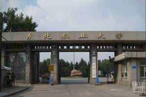 東北農業大學在職研究生